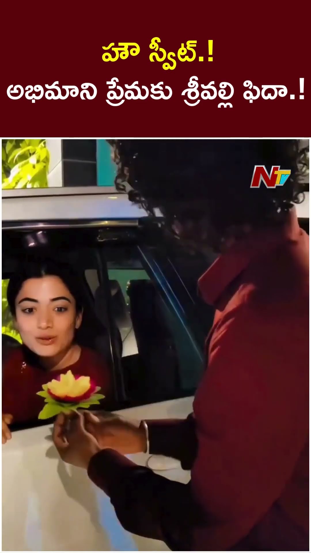 Fan Mesmerizes Rashmika Mandanna | Pushpa 2 | Ntv