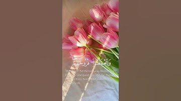 قل للمؤمنين يغضوا من أبصارهم و يحفظوا فروجهم ذلك أزكى لهم || سورة النور || القارئ: أحمد خضر