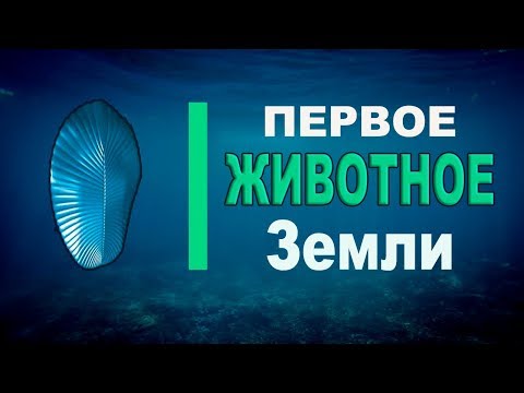 Первое животное Земли