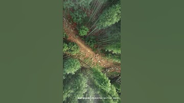 D&D | Onibane Part 1 Grid | Animated Battle Maps