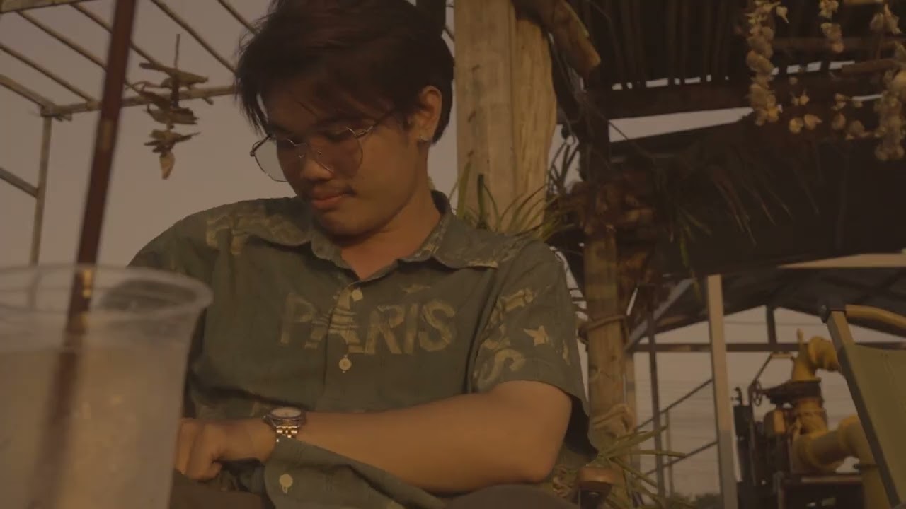 Sunset of Pink bridge (Short video)