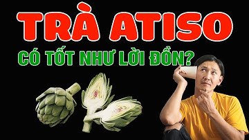 Uống TRÀ ATISO TÚI LỌC Có Tác Dụng Gì? Có Tốt Không? Có Mất Ngủ Không?| Kiến Thức Y Dược