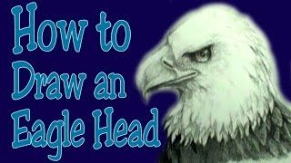 How to draw an Eagle Head