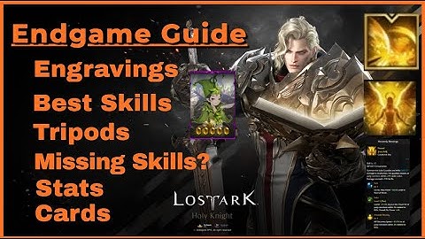 Lost Ark Paladin Class Endgame Guide & Support Build | Recommended Raiding Skills With Explanation