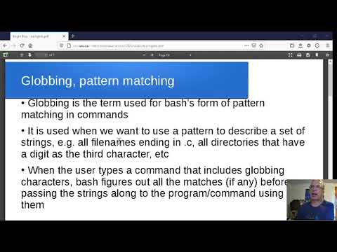 Bash wildcards and globbing