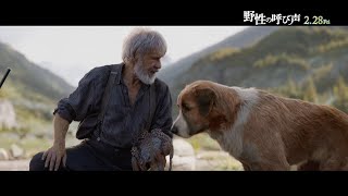 ハリソン・フォードが犬への“愛”と“絆”を語る　映画『野性の呼び声』特報