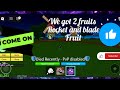 New video of roblox blox fruit