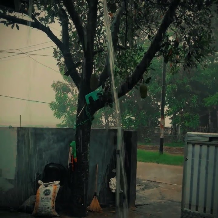 Efek rumah kaca - desember lirik Story wa #desember #efekrumahkaca #trending #fypシ゚ #storywa