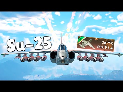 Su-25 in War