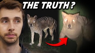 The Truth Behind The Faked Tasmanian Tiger Footage!