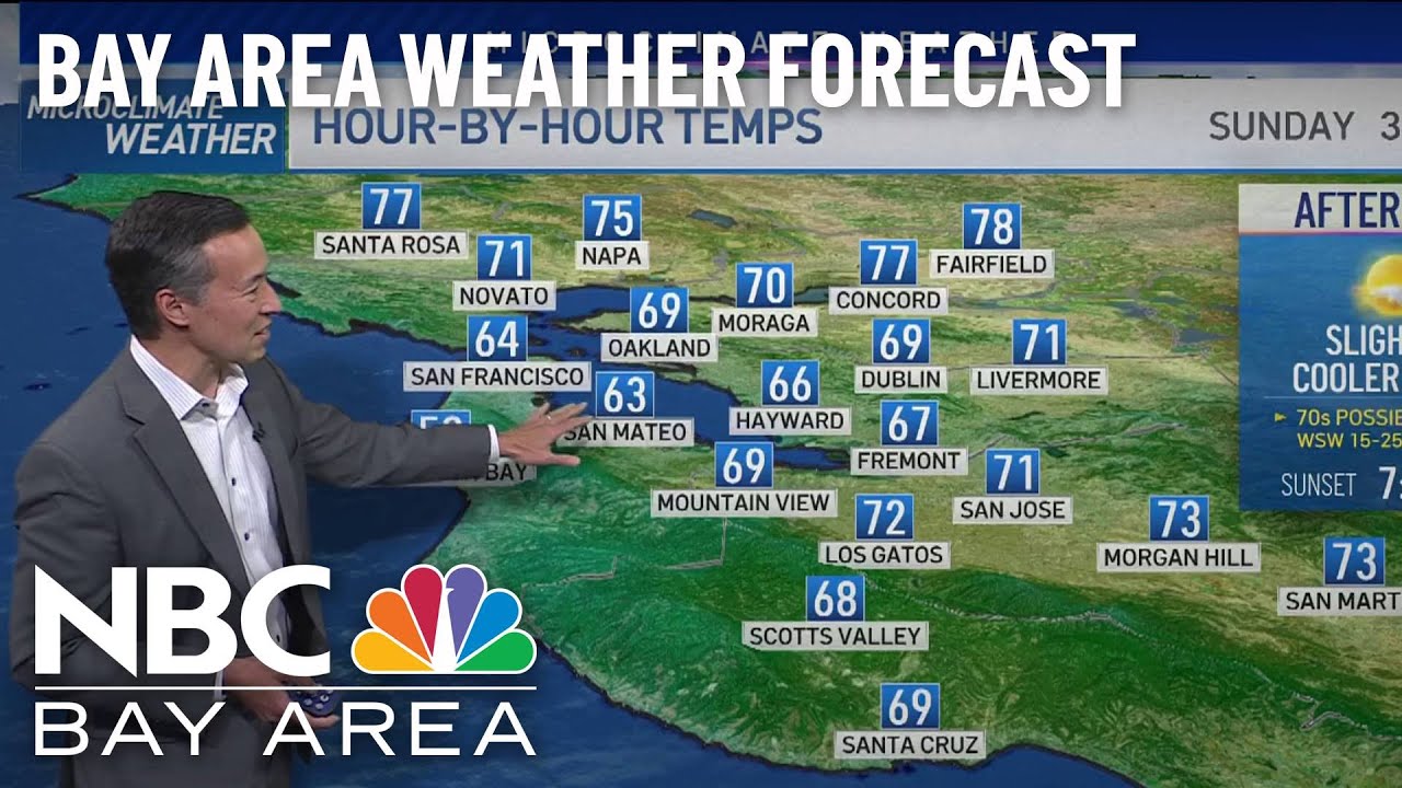 Bay Area Forecast: Slightly Cooler Temps - YouTube