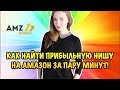 Как найти продукт для продажи на Амазон. 2 прибыльные ниши за пару минут и обзор AMZScout.