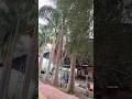 Tum se milkar na jane kyu#short#viral