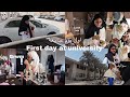عيشو معاي اول يوم جامعه بجميع التفاصيل | جوجو عبداللطيف