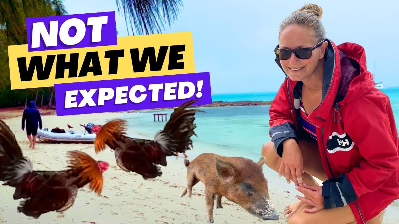 The “Other” Bahamas PIG BEACH (with a 🐔COCKFIGHT!) Spanish Wells | Sailing Joco EP112