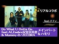 ZEEBRA/Do What U Gotta Do feat.AI,安室奈美恵&amp;Mummy-D【うたスキ動画】ラップ&ハモリ(リアルコラボ)