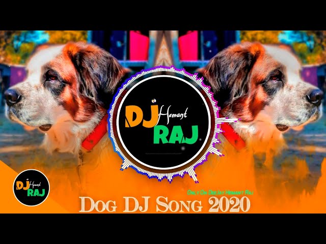 Lagu DJ Anjing 2020 - (REMIX) Lagu DJ Lucu 🤣 | DeeJay Hemant Raj | Remix Anjing Hanya Untuk Hiburan class=