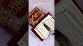 #islamictrading #halaltrading #beautiful