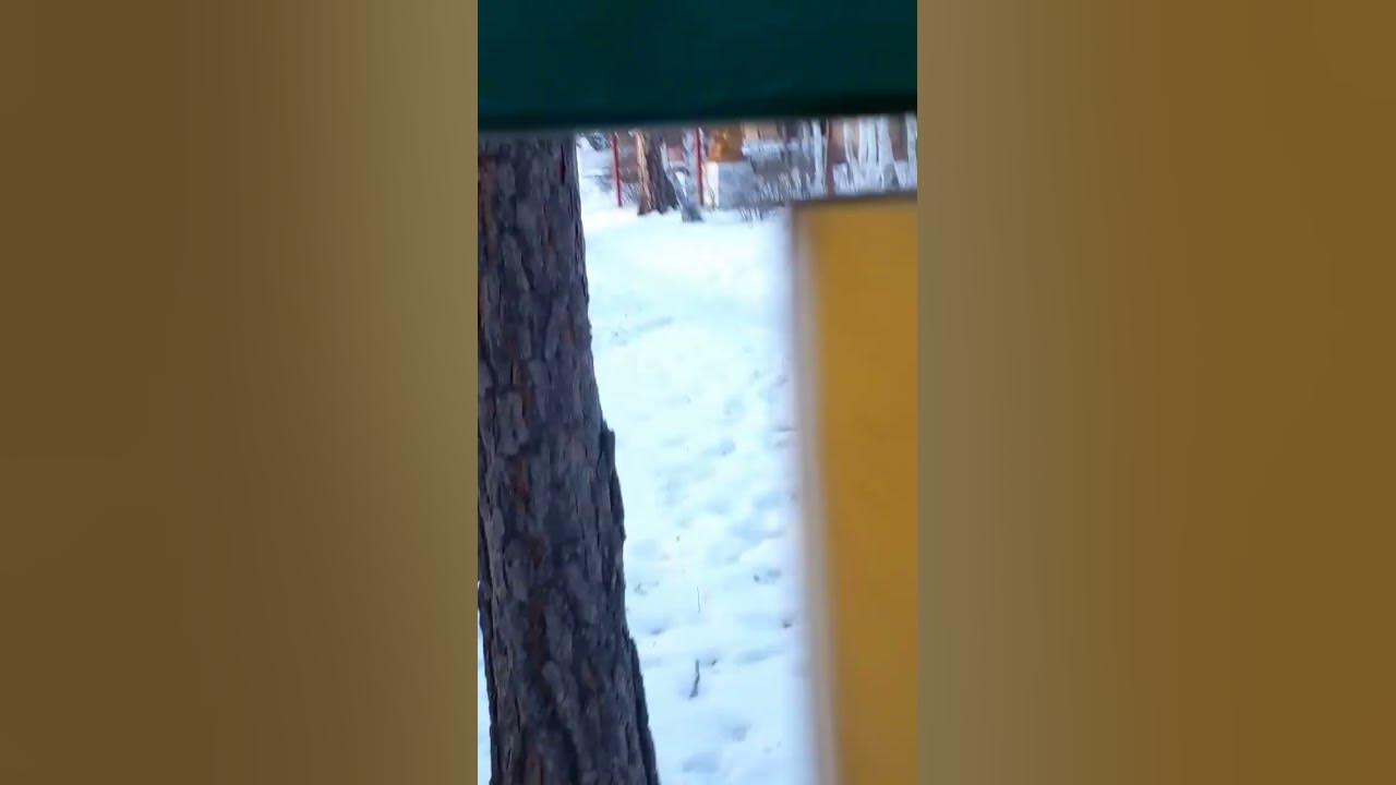 Сагаан Сара! - YouTube
