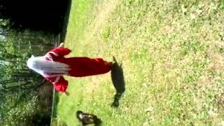 Inuyasha randomness