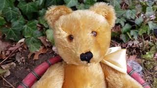 Vintage 1950s German Gold Steiff Original Teddy Bear