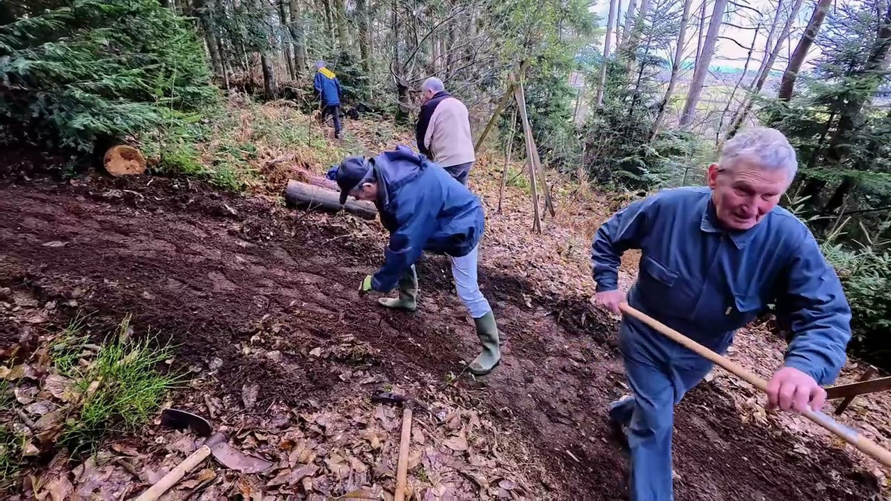 Travaux d'aménagement sur le Sentier Botanique 06 02 2026