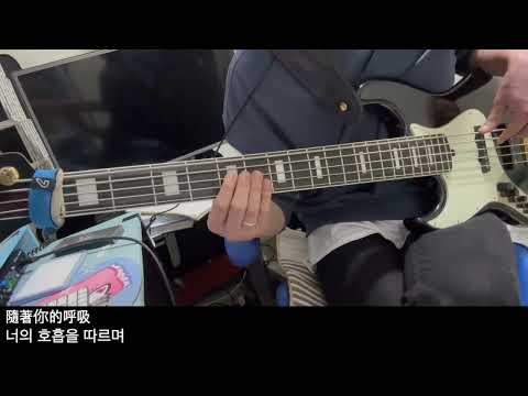 溫蒂漫步Wendy Wander, Billyrrom - Nightglow Dreamer(bass cover)
