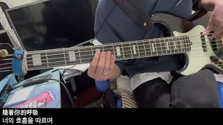 溫蒂漫步Wendy Wander, Billyrrom - Nightglow Dreamer(bass cover)