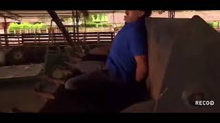 El Cabo Haciendole La Terapia Al Gringo Jhon Que Se Lo Coma El Leon Del Pariente - El Cartel 2