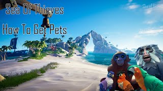 Sea Of Thieves | How To Get Pets!