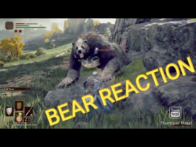 The Forest 2 Official Premiere REVEAL TRAILER & Reaction (The Game Awards  2019) 