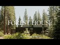 Explorez une cabane dans les bois qui reflte le paysage environnant visite de la maison