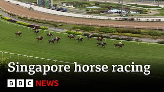 Singapore to hold final horse race after more than 180 years - BBC News