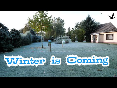 Rasen dngen vor dem Winter mit Ferro Top Profi Rasendnger & Plantura  Herbst organisch - YouTube