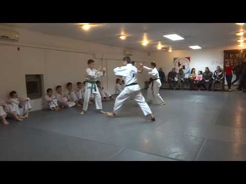 Klub realnog aikidoa i jujutsu Novi Sad Polaganje za zvanja februar 2019 III i IV grupa dece 8/12