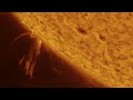 Capturing the Sun's Incredible Activity - August 2nd Part1