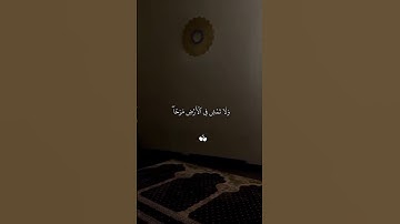 تلاوة خاشعة الشيخ ماهر المعيقلي #القرآن_الكريم #المصحف #اكسبلور #quran #الرحمن #راحة_نفسية #تيك_توك