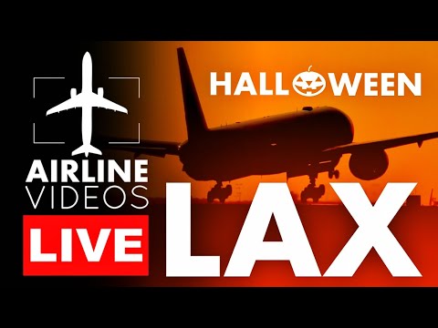 LIVE Plane Action at LAX on Halloween Night | Los Angeles Plane Spotting