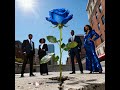 Pressure Makes Diamonds: Self-Love and Rising Strong Inspired by Latonya Chisolm