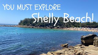 Best Snorkelling Spot in Sydney for EVERYONE!