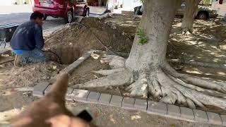 Trenchless Sewer Liner Replacement in Glendale, AZ