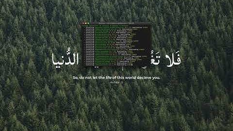 pterodactyl panel on debian 10 setup - stage 1