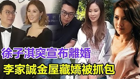 【豪門風暴】徐子淇突宣布離婚！李家誠“金屋藏嬌”被當場抓包， 網友嘩然：千億兒媳忍了15年終反擊！#徐子淇#李家誠#李家傑#李兆基