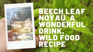 Beech leaf Noyau a wonderful Summer drink.