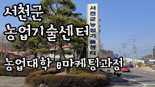 서천군농업기술센터 홍보영상만들기 농업대학 e마케팅과정 키네마스터로 유튜브영상만들기 by서천땡큐베리농장