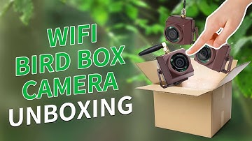 WiFi Bird Box Camera Unboxing