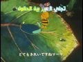 Intro Zina Wa Nah7ol DVD HD مقدمة زينة ونحول Intro Zina Wa Nah7ol DVD HD مقدمة زينة ونحول
