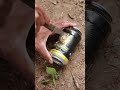 Survival skill show smart idea and usedfull in forest how to reused can to mini stove #ideas