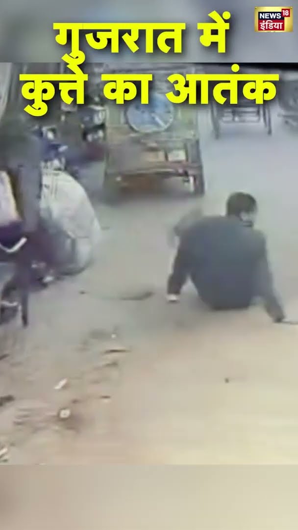 गुजरात के अमरेली में आवारा कुत्ते का आतंक | Dog attack | Viral | #Shorts