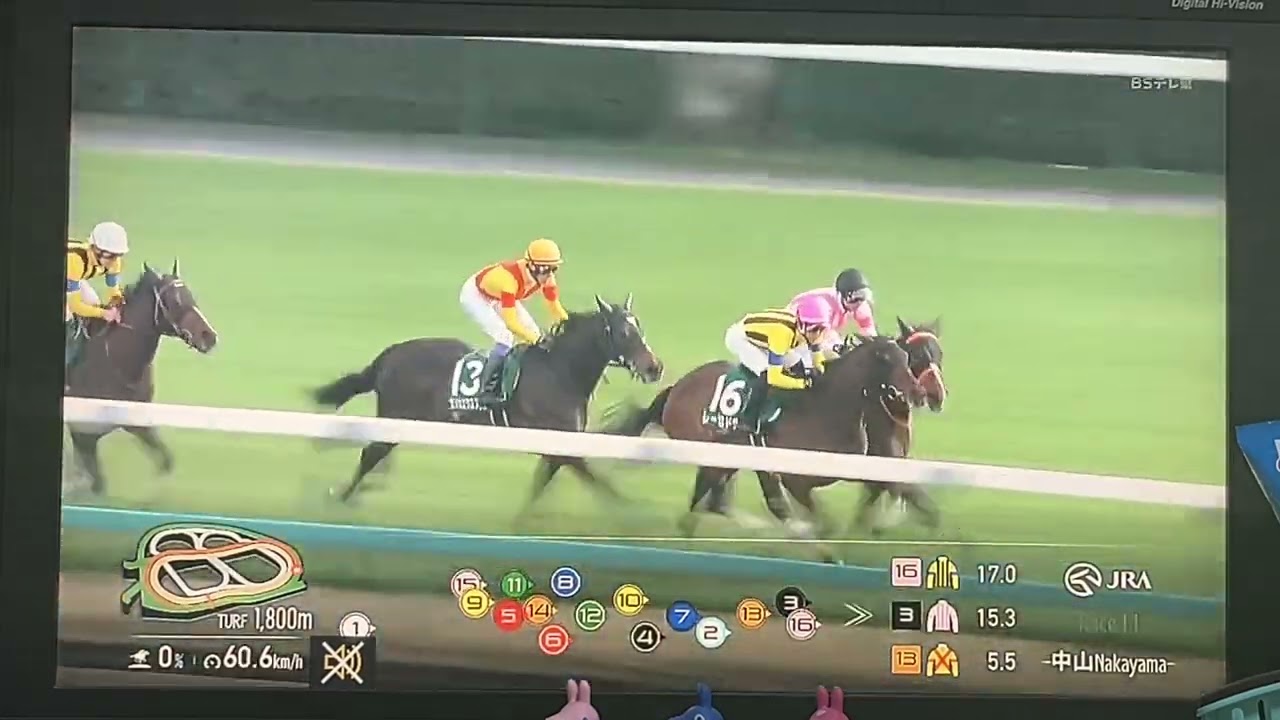【競馬実況動画2026】第44回ローレル競馬場賞中山牝馬ステークス エセルフリーダ（武藤雅）